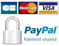 payer avec votre carte bancaire habituelle grâce à PayPal